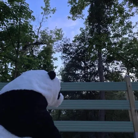La Du Panda Holiday home